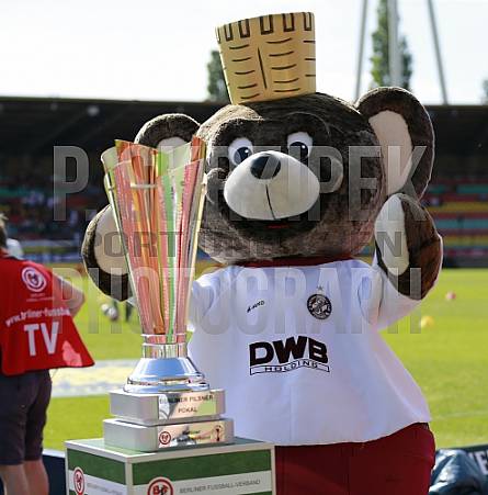 Berliner Pilsner Pokalfinal 2018BFC Dynamo - Berliner SC