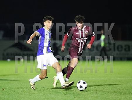 16.Spieltag BFC Dynamo - Hertha BSC II 16.Spieltag BFC Dynamo - Hertha BSC II