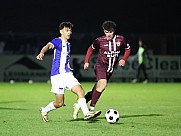 16.Spieltag BFC Dynamo -  Hertha BSC II