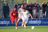 21.Spieltag ZFC Meuselwitz - BFC Dynamo
