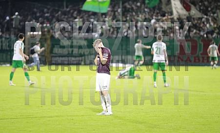 9.Spieltag BSG Chemie Leipzig - BFC Dynamo 9.Spieltag BSG Chemie Leipzig - BFC Dynamo