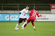 17.Spieltag FSV Zwickau - BFC Dynamo