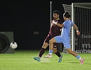 12.Spieltag BFC Dynamo - FC Viktoria 1889 Berlin