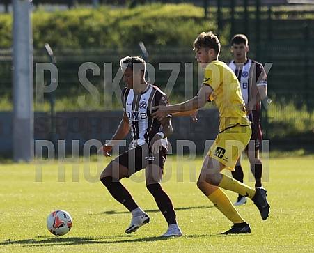 15.Spieltag BFC Dynamo - VfB Auerbach,