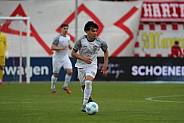 28. Spieltag FSV Zwickau - BFC Dynamo