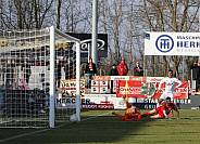 20.Spieltag ZFC Meuselwitz - BFC Dynamo