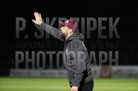 10.Spieltag BFC Dynamo - SV Babelsberg 03
