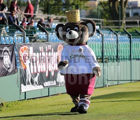 BFC Dynamo - BFC Dynamo Allstars Team,