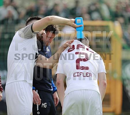 29.Spieltag BSG Chemie Leipzig - BFC Dynamo