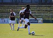 29. Spieltag BFC Dynamo - FC Hertha 03 Zehlendorf