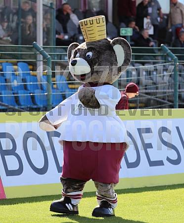 10.Spieltag BFC Dynamo - FSV 63 Luckenwalde,