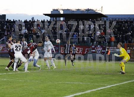 35.Spieltag BFC Dynamo - Tennis Borussia Berlin,