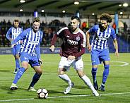 14.Spieltag Hertha BSC II - BFC Dynamo
