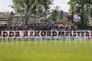 33.Spieltag BSG Chemie Leipzig - BFC Dynamo