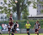 4.Spieltag BFC Dynamo - VfB Germania Halberstadt,