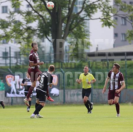 4.Spieltag BFC Dynamo - VfB Germania Halberstadt,
