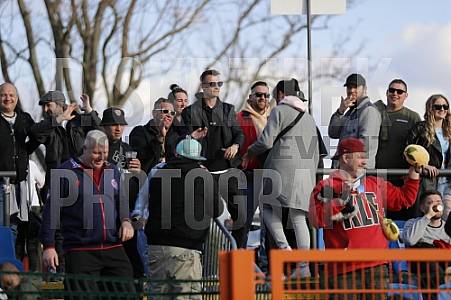 29.Spieltag BFC Dynamo - FC Rot-Weiß Erfurt