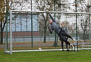 17.11.2022 Training BFC Dynamo