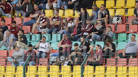 8.Spieltag BFC Dynamo - FSV Wacker 90 Nordhausen , 8.Spieltag BFC Dynamo - FSV Wacker 90 Nordhausen ,