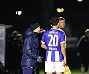 16.Spieltag BFC Dynamo -  Hertha BSC II