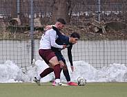 Testspiel SV Babelsberg 03 - BFC Dynamo