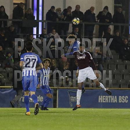 14.Spieltag Hertha BSC II - BFC Dynamo