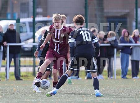 8.Spieltag BFC Dynamo U17 - 1.FC Union U16