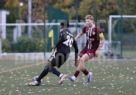9.Spieltag BFC Dynamo U19 - BFC Preussen U19