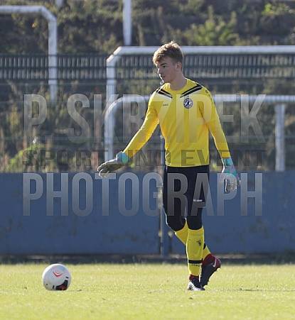 8.Spieltag BFC Dynamo U19 - FC Energie Cottbus U19 ,