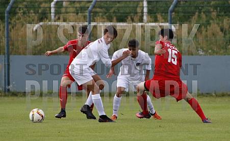 1.Spieltag BFC Dynamo U19 - FSV Zwickau U19