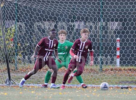 8.Spieltag BFC Dynamo U17 - 1.FC Union U16