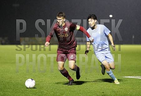 12.Spieltag BFC Dynamo - FC Viktoria 1889 Berlin