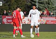 20.Spieltag ZFC Meuselwitz - BFC Dynamo