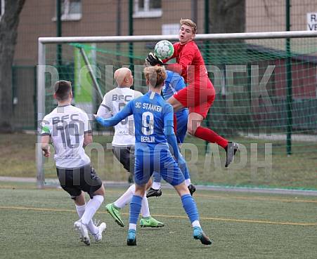 13.Spieltag BFC Dynamo - SC Staaken,