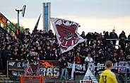 35.Spieltag BFC Dynamo - Tennis Borussia Berlin,
