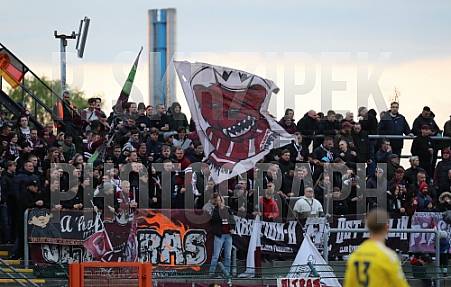 35.Spieltag BFC Dynamo - Tennis Borussia Berlin,