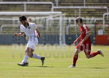 24.Spieltag BFC Dynamo U19 - Hallescher FC U19,