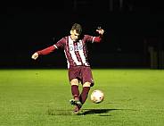 24.Spieltag BFC Dynamo - ZFC Meuselwitz,