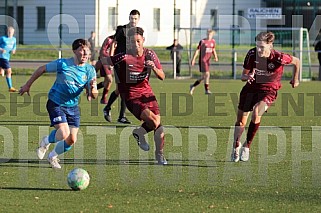 9.Spieltag BFC Dynamo U19 - Chemnitzer FC U19