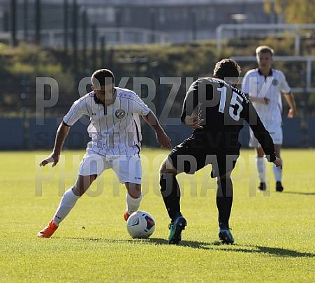 8.Spieltag BFC Dynamo U19 - FC Energie Cottbus U19 ,