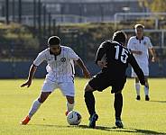 8.Spieltag BFC Dynamo U19 - FC Energie Cottbus U19 ,