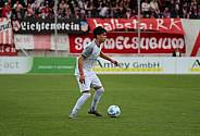 28. Spieltag FSV Zwickau - BFC Dynamo