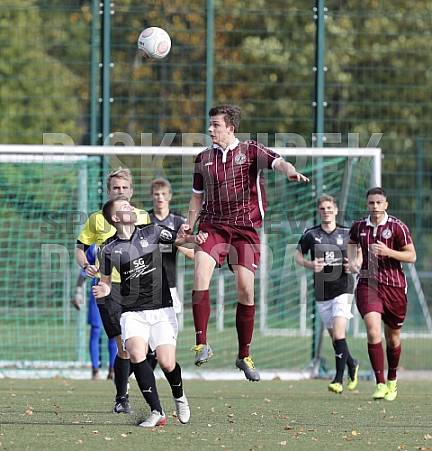 9.Spieltag BFC Dynamo U19 - FSV Zwickau U19,