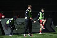 18.Spieltag BFC Dynamo - Hallescher FC