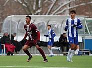 Testspiel Hertha BSC II - BFC Dynamo