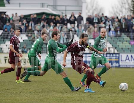 17.Spieltag BSG Chemie Leipzig - BFC Dynamo
