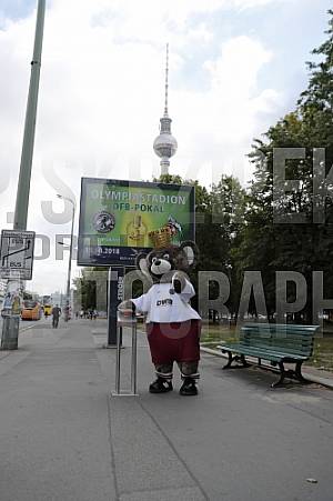 Werbung mit Teddy für die 1.Runde im DFB-Pokal
