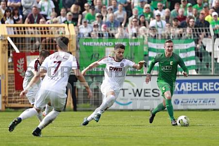 29.Spieltag BSG Chemie Leipzig - BFC Dynamo