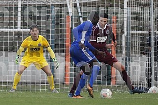 Testspiel BFC Dynamo - TSG Neustrelitz