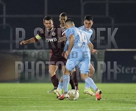 24.Spieltag BFC Dynamo - FC Viktoria 1889 Berlin